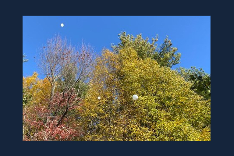 Balloons representing residents lost to COVID-19