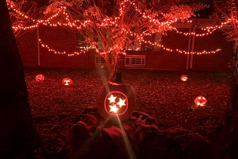 One of the pumpkins on display