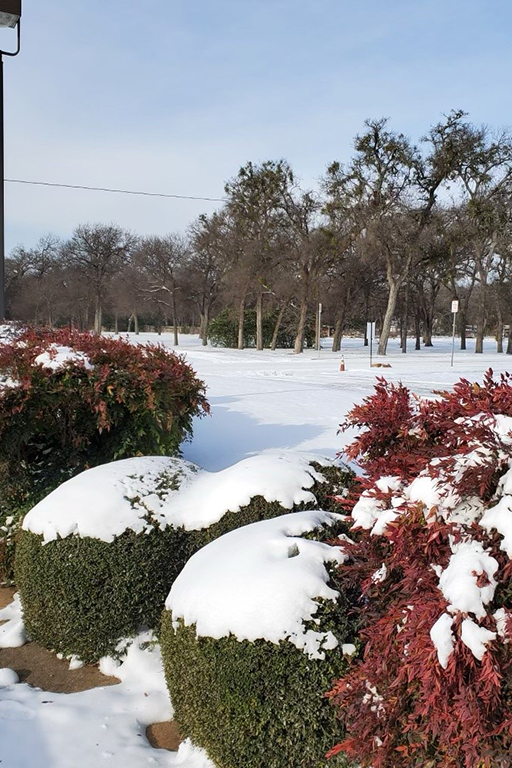 Snow at Life Care Center of Haltom