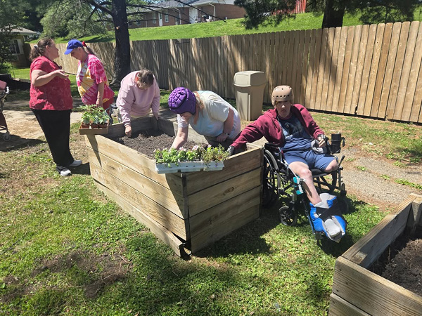 Planting-Mitchell Manor.jpg